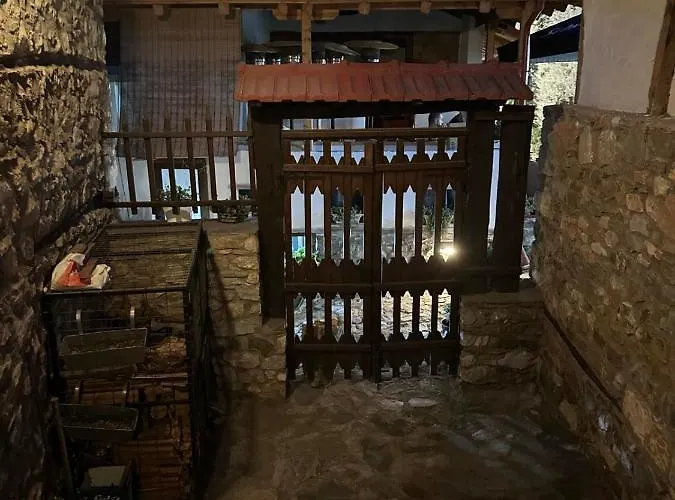 το ανώι *